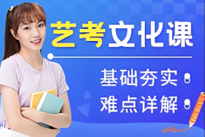 艺考文化课辅导班