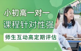 郑州小初高一对一辅导