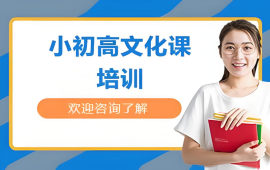 郑州小初高班课